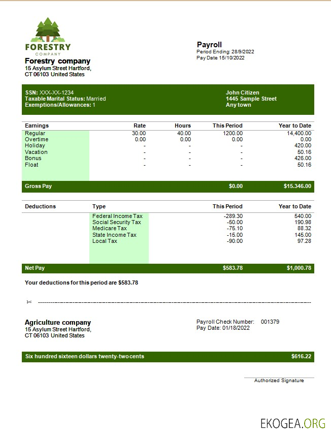 modèle de fiche de paie d'une entreprise forestière aux formats Word et PDF